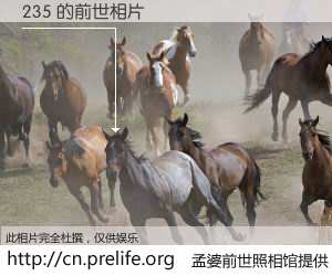 #孟婆前世照相馆# 【235 的前世相片】我们都曾从奈何桥上走过，喝下三碗忘川之水烹煮的孟婆汤，忘却了前尘旧事。孟婆前世照相馆，保存着你前世的数码相片。235 的前世相片，有图有真相：