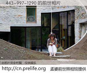#孟婆前世照相馆# 【443-997-1290 的前世相片】我们都曾从奈何桥上走过，喝下三碗忘川之水烹煮的孟婆汤，忘却了前尘旧事。孟婆前世照相馆，保存着你前世的数码相片。443-997-1290 的前世相片，有图有真相：