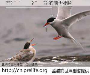 #孟婆前世照相馆# 【???����?��?? 的前世相片】我们都曾从奈何桥上走过，喝下三碗忘川之水烹煮的孟婆汤，忘却了前尘旧事。孟婆前世照相馆，保存着你前世的数码相片。???����?��?? 的前世相片，有图有真相：