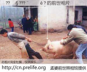#孟婆前世照相馆# 【??��???����? 的前世相片】我们都曾从奈何桥上走过，喝下三碗忘川之水烹煮的孟婆汤，忘却了前尘旧事。孟婆前世照相馆，保存着你前世的数码相片。??��???����? 的前世相片，有图有真相：