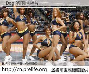 #孟婆前世照相馆# 【Dog 的前世相片】我们都曾从奈何桥上走过，喝下三碗忘川之水烹煮的孟婆汤，忘却了前尘旧事。孟婆前世照相馆，保存着你前世的数码相片。Dog 的前世相片，有图有真相：