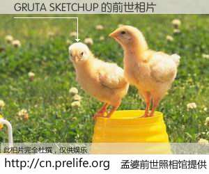 #孟婆前世照相馆# 【GRUTA SKETCHUP 的前世相片】我们都曾从奈何桥上走过，喝下三碗忘川之水烹煮的孟婆汤，忘却了前尘旧事。孟婆前世照相馆，保存着你前世的数码相片。GRUTA SKETCHUP 的前世相片，有图有真相：