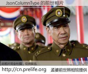 #孟婆前世照相馆# 【JsonColumnType 的前世相片】我们都曾从奈何桥上走过，喝下三碗忘川之水烹煮的孟婆汤，忘却了前尘旧事。孟婆前世照相馆，保存着你前世的数码相片。JsonColumnType 的前世相片，有图有真相：