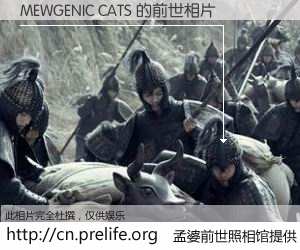 #孟婆前世照相馆# 【MEWGENIC CATS 的前世相片】我们都曾从奈何桥上走过,喝下三碗忘川之水烹煮的孟婆汤,忘却了前尘旧事。孟婆前世照相馆,保存着你前世的数码相片。MEWGENIC CATS 的前世相片,有图有真相:
