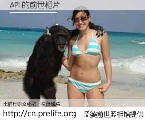 #孟婆前世照相馆# 【API 的前世相片】我们都曾从奈何桥上走过，喝下三碗忘川之水烹煮的孟婆汤，忘却了前尘旧事。孟婆前世照相馆，保存着你前世的数码相片。API 的前世相片，有图有真相：