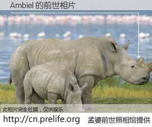 #孟婆前世照相馆# 【Ambiel 的前世相片】我们都曾从奈何桥上走过，喝下三碗忘川之水烹煮的孟婆汤，忘却了前尘旧事。孟婆前世照相馆，保存着你前世的数码相片。Ambiel 的前世相片，有图有真相：