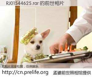#孟婆前世照相馆# 【RJ01544625.rar 的前世相片】我们都曾从奈何桥上走过，喝下三碗忘川之水烹煮的孟婆汤，忘却了前尘旧事。孟婆前世照相馆，保存着你前世的数码相片。RJ01544625.rar 的前世相片，有图有真相：