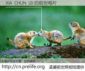 #孟婆前世照相馆# 【XIA  CHUN  LEI 的前世相片】我们都曾从奈何桥上走过，喝下三碗忘川之水烹煮的孟婆汤，忘却了前尘旧事。孟婆前世照相馆，保存着你前世的数码相片。XIA  CHUN  LEI 的前世相片，有图有真相：