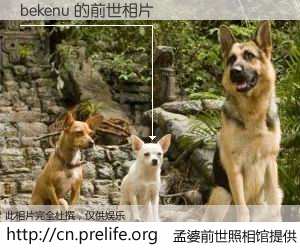 #孟婆前世照相馆# 【bekenu 的前世相片】我们都曾从奈何桥上走过，喝下三碗忘川之水烹煮的孟婆汤，忘却了前尘旧事。孟婆前世照相馆，保存着你前世的数码相片。bekenu 的前世相片，有图有真相：