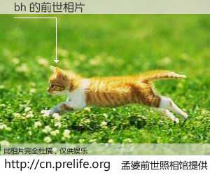 #孟婆前世照相馆# 【bh 的前世相片】我们都曾从奈何桥上走过，喝下三碗忘川之水烹煮的孟婆汤，忘却了前尘旧事。孟婆前世照相馆，保存着你前世的数码相片。bh 的前世相片，有图有真相：
