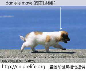 #孟婆前世照相馆# 【danielle maye 的前世相片】我们都曾从奈何桥上走过，喝下三碗忘川之水烹煮的孟婆汤，忘却了前尘旧事。孟婆前世照相馆，保存着你前世的数码相片。danielle maye 的前世相片，有图有真相：