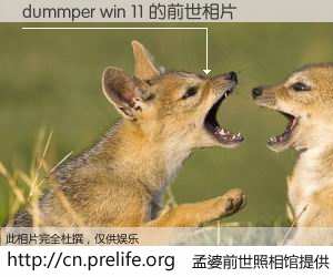#孟婆前世照相馆# 【dummper win 11 的前世相片】我们都曾从奈何桥上走过，喝下三碗忘川之水烹煮的孟婆汤，忘却了前尘旧事。孟婆前世照相馆，保存着你前世的数码相片。dummper win 11 的前世相片，有图有真相：