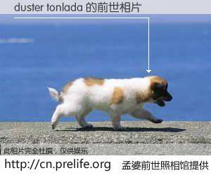 #孟婆前世照相馆# 【duster tonlada 的前世相片】我们都曾从奈何桥上走过，喝下三碗忘川之水烹煮的孟婆汤，忘却了前尘旧事。孟婆前世照相馆，保存着你前世的数码相片。duster tonlada 的前世相片，有图有真相：