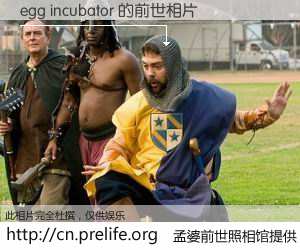 #孟婆前世照相馆# 【egg incubator 的前世相片】我们都曾从奈何桥上走过，喝下三碗忘川之水烹煮的孟婆汤，忘却了前尘旧事。孟婆前世照相馆，保存着你前世的数码相片。egg incubator 的前世相片，有图有真相：