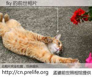 #孟婆前世照相馆# 【fky 的前世相片】我们都曾从奈何桥上走过，喝下三碗忘川之水烹煮的孟婆汤，忘却了前尘旧事。孟婆前世照相馆，保存着你前世的数码相片。fky 的前世相片，有图有真相：