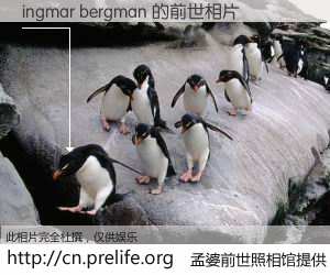 #孟婆前世照相馆# 【ingmar bergman 的前世相片】我们都曾从奈何桥上走过，喝下三碗忘川之水烹煮的孟婆汤，忘却了前尘旧事。孟婆前世照相馆，保存着你前世的数码相片。ingmar bergman 的前世相片，有图有真相：