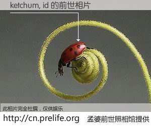 #孟婆前世照相馆# 【ketchum, id 的前世相片】我们都曾从奈何桥上走过，喝下三碗忘川之水烹煮的孟婆汤，忘却了前尘旧事。孟婆前世照相馆，保存着你前世的数码相片。ketchum, id 的前世相片，有图有真相：