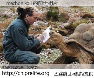 #孟婆前世照相馆# 【mechanika i 的前世相片】我们都曾从奈何桥上走过，喝下三碗忘川之水烹煮的孟婆汤，忘却了前尘旧事。孟婆前世照相馆，保存着你前世的数码相片。mechanika i 的前世相片，有图有真相：