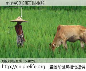 #孟婆前世照相馆# 【mist409 的前世相片】我们都曾从奈何桥上走过，喝下三碗忘川之水烹煮的孟婆汤，忘却了前尘旧事。孟婆前世照相馆，保存着你前世的数码相片。mist409 的前世相片，有图有真相：