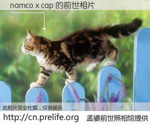 #孟婆前世照相馆# 【namco x cap 的前世相片】我们都曾从奈何桥上走过，喝下三碗忘川之水烹煮的孟婆汤，忘却了前尘旧事。孟婆前世照相馆，保存着你前世的数码相片。namco x cap 的前世相片，有图有真相：