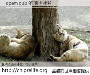 #孟婆前世照相馆# 【opem quiz 的前世相片】我们都曾从奈何桥上走过，喝下三碗忘川之水烹煮的孟婆汤，忘却了前尘旧事。孟婆前世照相馆，保存着你前世的数码相片。opem quiz 的前世相片，有图有真相：