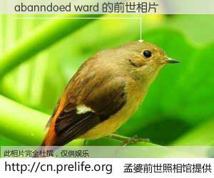 #孟婆前世照相馆# 【abanndoed ward 的前世相片】我们都曾从奈何桥上走过，喝下三碗忘川之水烹煮的孟婆汤，忘却了前尘旧事。孟婆前世照相馆，保存着你前世的数码相片。abanndoed ward 的前世相片，有图有真相：