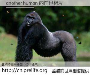 #孟婆前世照相馆# 【another human 的前世相片】我们都曾从奈何桥上走过，喝下三碗忘川之水烹煮的孟婆汤，忘却了前尘旧事。孟婆前世照相馆，保存着你前世的数码相片。another human 的前世相片，有图有真相：