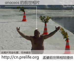#孟婆前世照相馆# 【anaceos 的前世相片】我们都曾从奈何桥上走过，喝下三碗忘川之水烹煮的孟婆汤，忘却了前尘旧事。孟婆前世照相馆，保存着你前世的数码相片。anaceos 的前世相片，有图有真相：