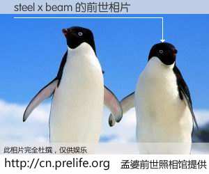 #孟婆前世照相馆# 【steel x beam 的前世相片】我们都曾从奈何桥上走过，喝下三碗忘川之水烹煮的孟婆汤，忘却了前尘旧事。孟婆前世照相馆，保存着你前世的数码相片。steel x beam 的前世相片，有图有真相：