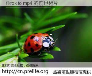 #孟婆前世照相馆# 【tiktok to mp4 的前世相片】我们都曾从奈何桥上走过，喝下三碗忘川之水烹煮的孟婆汤，忘却了前尘旧事。孟婆前世照相馆，保存着你前世的数码相片。tiktok to mp4 的前世相片，有图有真相：
