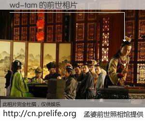 #孟婆前世照相馆# 【wd-tam 的前世相片】我们都曾从奈何桥上走过，喝下三碗忘川之水烹煮的孟婆汤，忘却了前尘旧事。孟婆前世照相馆，保存着你前世的数码相片。wd-tam 的前世相片，有图有真相：