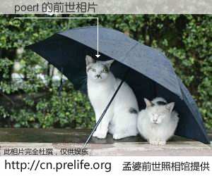 #孟婆前世照相馆# 【poert 的前世相片】我们都曾从奈何桥上走过，喝下三碗忘川之水烹煮的孟婆汤，忘却了前尘旧事。孟婆前世照相馆，保存着你前世的数码相片。poert 的前世相片，有图有真相：
