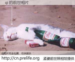 #孟婆前世照相馆# 【qi 的前世相片】我们都曾从奈何桥上走过，喝下三碗忘川之水烹煮的孟婆汤，忘却了前尘旧事。孟婆前世照相馆，保存着你前世的数码相片。qi 的前世相片，有图有真相：