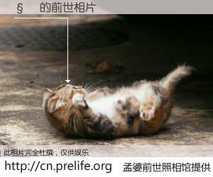 #孟婆前世照相馆# 【 的前世相片】我们都曾从奈何桥上走过，喝下三碗忘川之水烹煮的孟婆汤，忘却了前尘旧事。孟婆前世照相馆，保存着你前世的数码相片。 的前世相片，有图有真相：