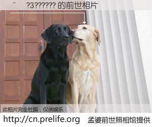 #孟婆前世照相馆# 【��?3?????? 的前世相片】我们都曾从奈何桥上走过，喝下三碗忘川之水烹煮的孟婆汤，忘却了前尘旧事。孟婆前世照相馆，保存着你前世的数码相片。��?3?????? 的前世相片，有图有真相：