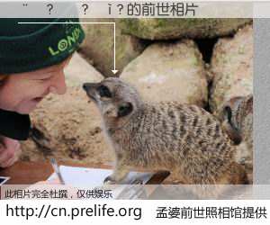 #孟婆前世照相馆# 【��?��?��? 的前世相片】我们都曾从奈何桥上走过，喝下三碗忘川之水烹煮的孟婆汤，忘却了前尘旧事。孟婆前世照相馆，保存着你前世的数码相片。��?��?��? 的前世相片，有图有真相：
