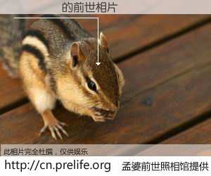 #孟婆前世照相馆# 【��� 的前世相片】我们都曾从奈何桥上走过，喝下三碗忘川之水烹煮的孟婆汤，忘却了前尘旧事。孟婆前世照相馆，保存着你前世的数码相片。��� 的前世相片，有图有真相：