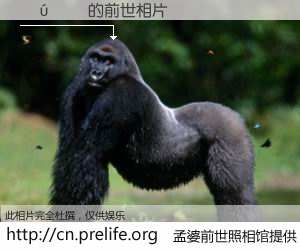 #孟婆前世照相馆# 【���� 的前世相片】我们都曾从奈何桥上走过，喝下三碗忘川之水烹煮的孟婆汤，忘却了前尘旧事。孟婆前世照相馆，保存着你前世的数码相片。���� 的前世相片，有图有真相：