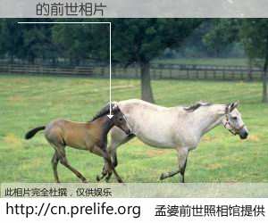 #孟婆前世照相馆# 【؂ 的前世相片】我们都曾从奈何桥上走过，喝下三碗忘川之水烹煮的孟婆汤，忘却了前尘旧事。孟婆前世照相馆，保存着你前世的数码相片。؂ 的前世相片，有图有真相：