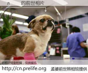 #孟婆前世照相馆# 【л˼¶ 的前世相片】我们都曾从奈何桥上走过，喝下三碗忘川之水烹煮的孟婆汤，忘却了前尘旧事。孟婆前世照相馆，保存着你前世的数码相片。л˼¶ 的前世相片，有图有真相：