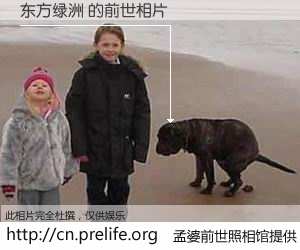 #孟婆前世照相馆# 【东方绿洲 的前世相片】我们都曾从奈何桥上走过，喝下三碗忘川之水烹煮的孟婆汤，忘却了前尘旧事。孟婆前世照相馆，保存着你前世的数码相片。东方绿洲 的前世相片，有图有真相：