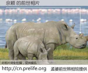 #孟婆前世照相馆# 【佘颖 的前世相片】我们都曾从奈何桥上走过，喝下三碗忘川之水烹煮的孟婆汤，忘却了前尘旧事。孟婆前世照相馆，保存着你前世的数码相片。佘颖 的前世相片，有图有真相：