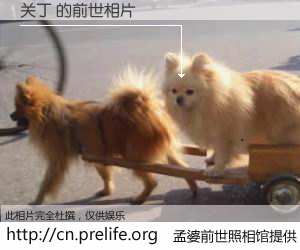 #孟婆前世照相馆# 【关丁 的前世相片】我们都曾从奈何桥上走过，喝下三碗忘川之水烹煮的孟婆汤，忘却了前尘旧事。孟婆前世照相馆，保存着你前世的数码相片。关丁 的前世相片，有图有真相：
