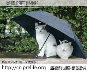 #孟婆前世照相馆# 【吴骞 的前世相片】我们都曾从奈何桥上走过，喝下三碗忘川之水烹煮的孟婆汤，忘却了前尘旧事。孟婆前世照相馆，保存着你前世的数码相片。吴骞 的前世相片，有图有真相：