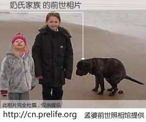 #孟婆前世照相馆# 【奶氏家族 的前世相片】我们都曾从奈何桥上走过，喝下三碗忘川之水烹煮的孟婆汤，忘却了前尘旧事。孟婆前世照相馆，保存着你前世的数码相片。奶氏家族 的前世相片，有图有真相：