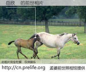 #孟婆前世照相馆# 【岳欣玶 的前世相片】我们都曾从奈何桥上走过，喝下三碗忘川之水烹煮的孟婆汤，忘却了前尘旧事。孟婆前世照相馆，保存着你前世的数码相片。岳欣玶 的前世相片，有图有真相：