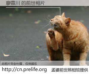 #孟婆前世照相馆# 【廖霖川 的前世相片】我们都曾从奈何桥上走过，喝下三碗忘川之水烹煮的孟婆汤，忘却了前尘旧事。孟婆前世照相馆，保存着你前世的数码相片。廖霖川 的前世相片，有图有真相：