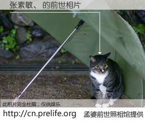 #孟婆前世照相馆# 【张素敏、 的前世相片】我们都曾从奈何桥上走过，喝下三碗忘川之水烹煮的孟婆汤，忘却了前尘旧事。孟婆前世照相馆，保存着你前世的数码相片。张素敏、 的前世相片，有图有真相：