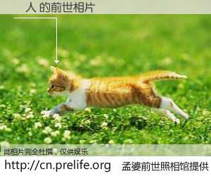 #孟婆前世照相馆# 【屌人 的前世相片】我们都曾从奈何桥上走过，喝下三碗忘川之水烹煮的孟婆汤，忘却了前尘旧事。孟婆前世照相馆，保存着你前世的数码相片。屌人 的前世相片，有图有真相：