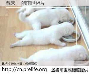 #孟婆前世照相馆# 【戴天華 的前世相片】我们都曾从奈何桥上走过，喝下三碗忘川之水烹煮的孟婆汤，忘却了前尘旧事。孟婆前世照相馆，保存着你前世的数码相片。戴天華 的前世相片，有图有真相：